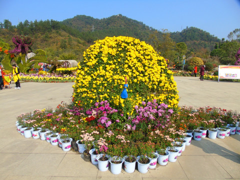 风景区