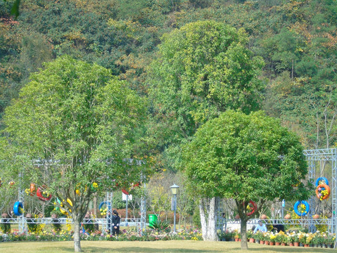 风景区