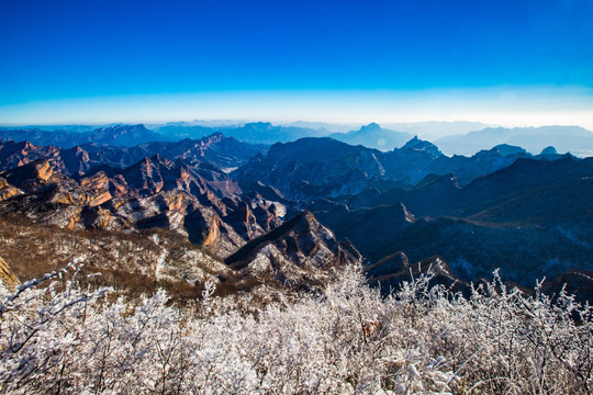 板山冬雪