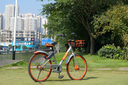 共享单车 摩拜单车 草坪