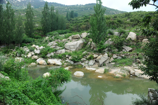 青山绿水