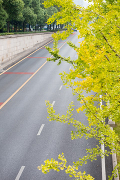 马路 俯拍马路 柏油路 公交车