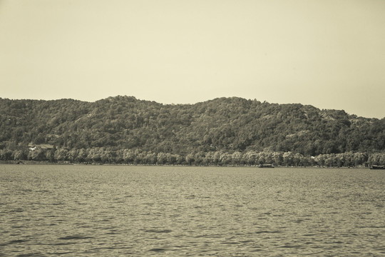 老西湖照片