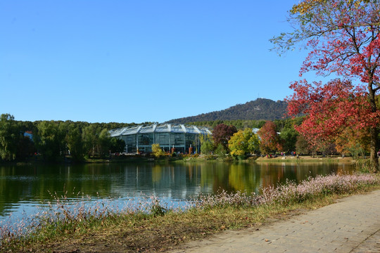 湖畔秋景