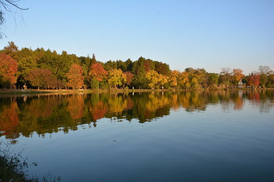 湖畔秋景