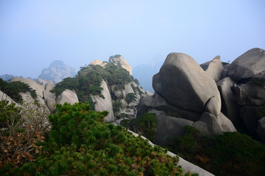 AAAAA天柱山旅游