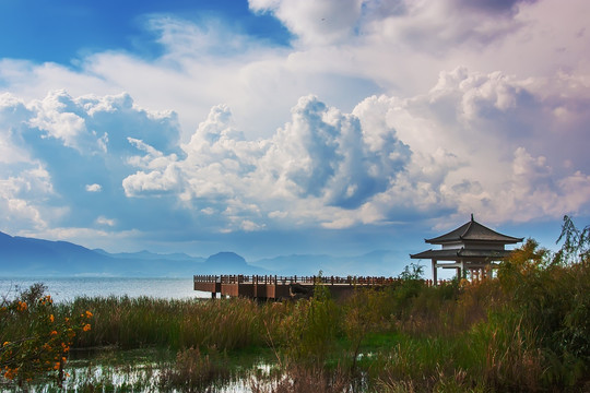 抚仙湖湿地