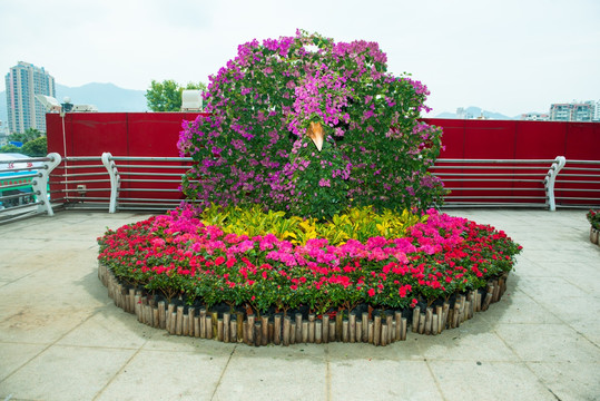 花 装饰造型