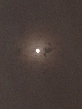 夜黑月圆