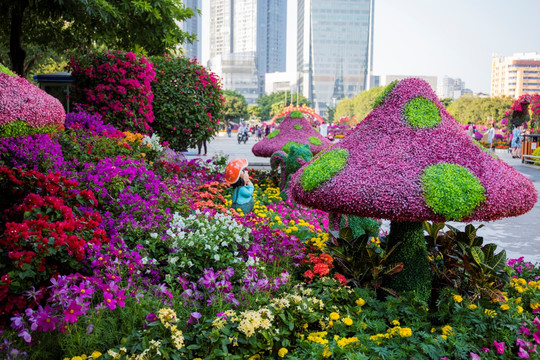 柳州市首届三角花展美图