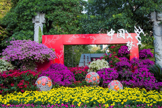 柳州市首届三角花展美图