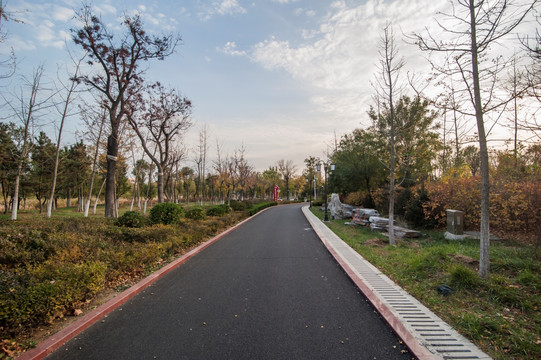 泊油路