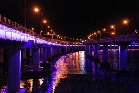 大连跨海夜大桥1