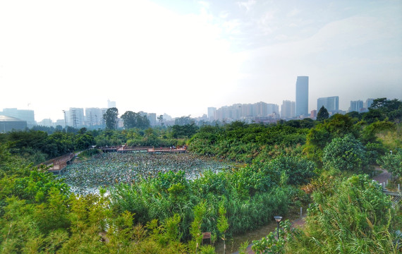 东莞厚街文化公园