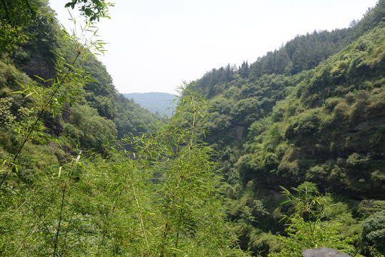 四川剑门关山峰绿林