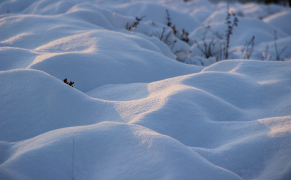 雪景 雪面