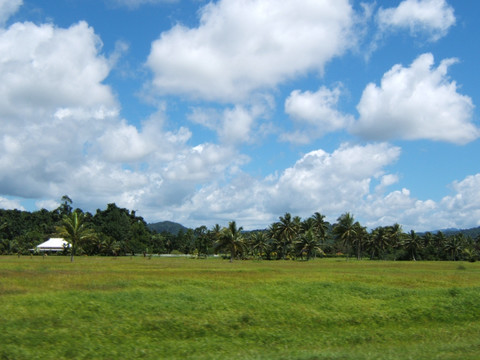 斐济的草坪