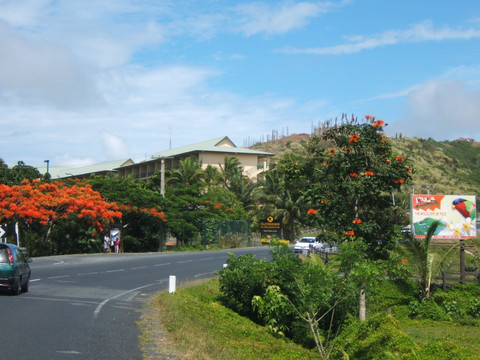 斐济街景