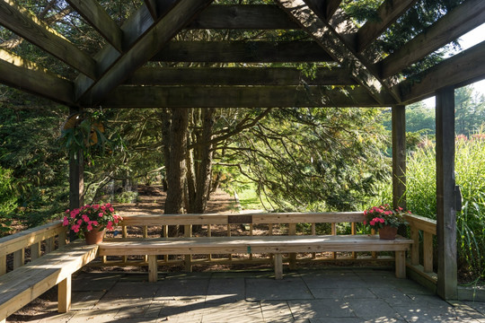 康奈尔大学植物园 长凳
