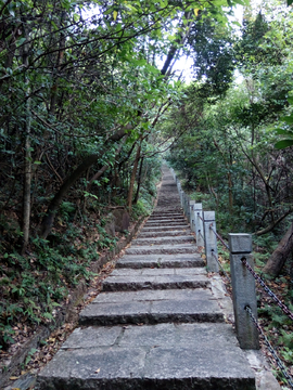 登山步道台阶