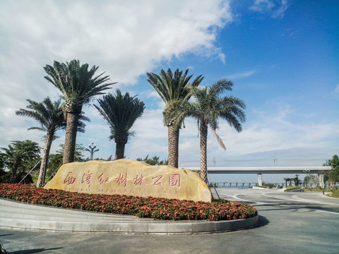 西湾红树林公园