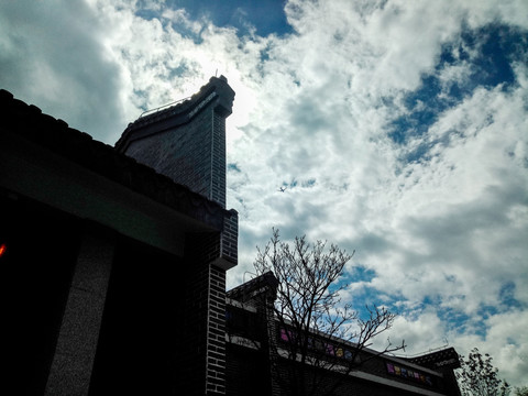 西湾红树林公园