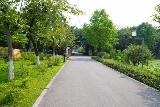 休闲步道 公园休闲路面