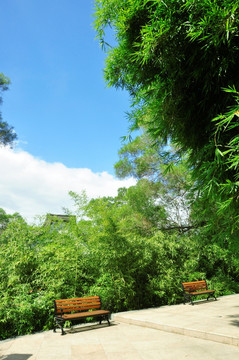 公园休闲风景