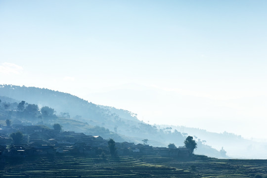 农村 早晨 雾气