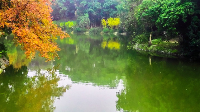 秋天的池塘