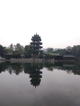 新都桂湖公园风景