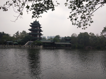 新都桂湖公园风景