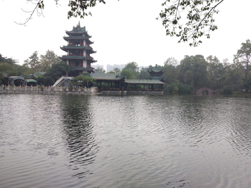 新都桂湖公园风景