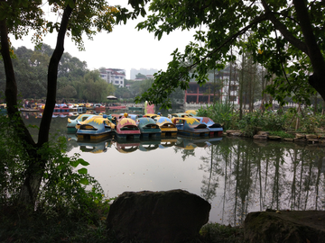 新都桂湖公园风景