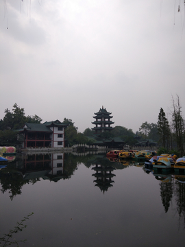 新都桂湖公园风景