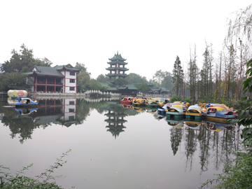 新都桂湖公园风景