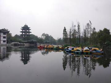 新都桂湖公园风景