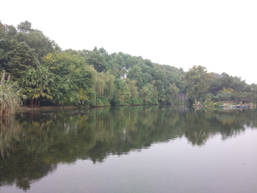 新都桂湖公园风景