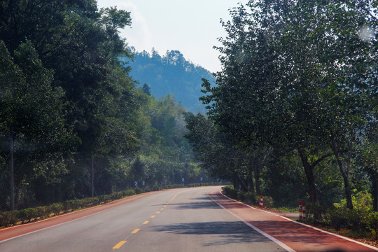 绿道风景