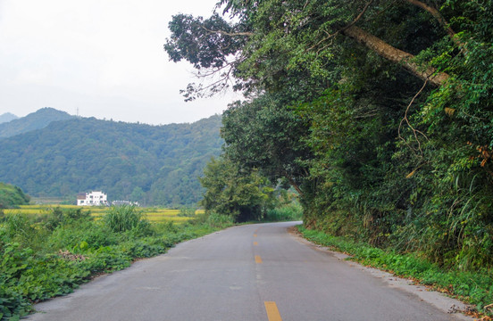 通向山村路