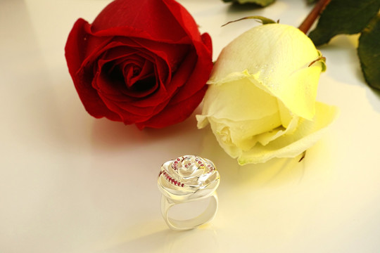 玫瑰与戒指
