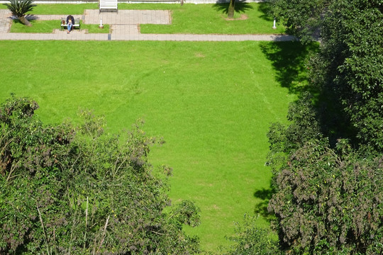 城市公园小景 俯拍草坪
