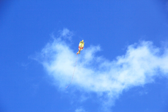 飘向空中的老虎氢气球