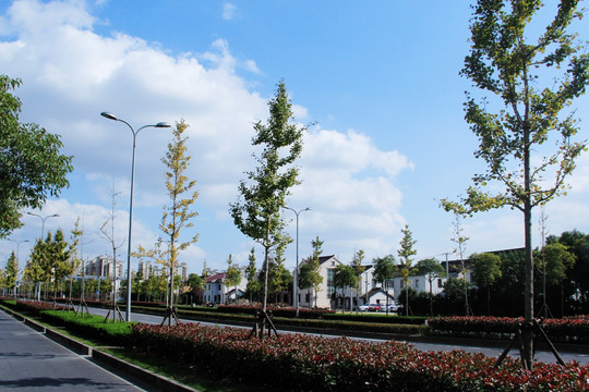 马路风光