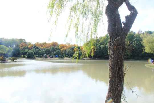湖边