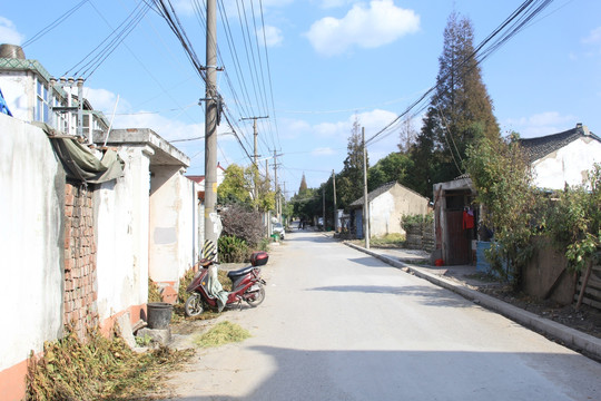 农村小路 乡间小路