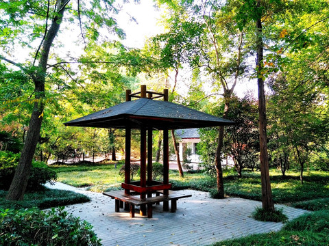南京凤凰山公园