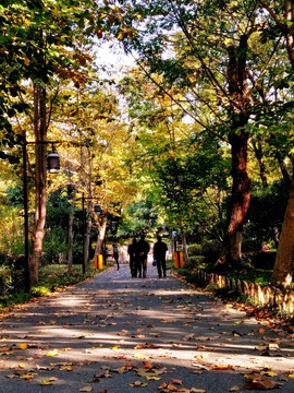 南京凤凰山公园