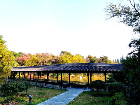 南京凤凰山公园