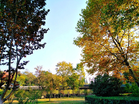 南京凤凰山公园